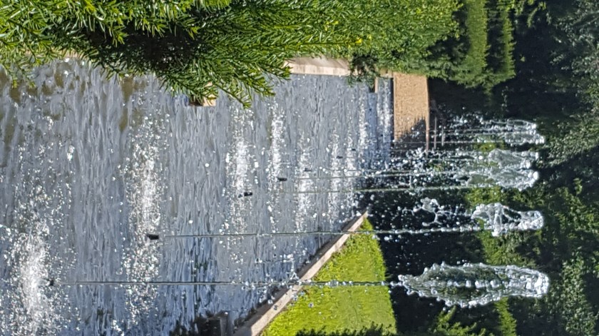 C05119EF-FE91-4A6C-B165-DBB1EFD7BF21