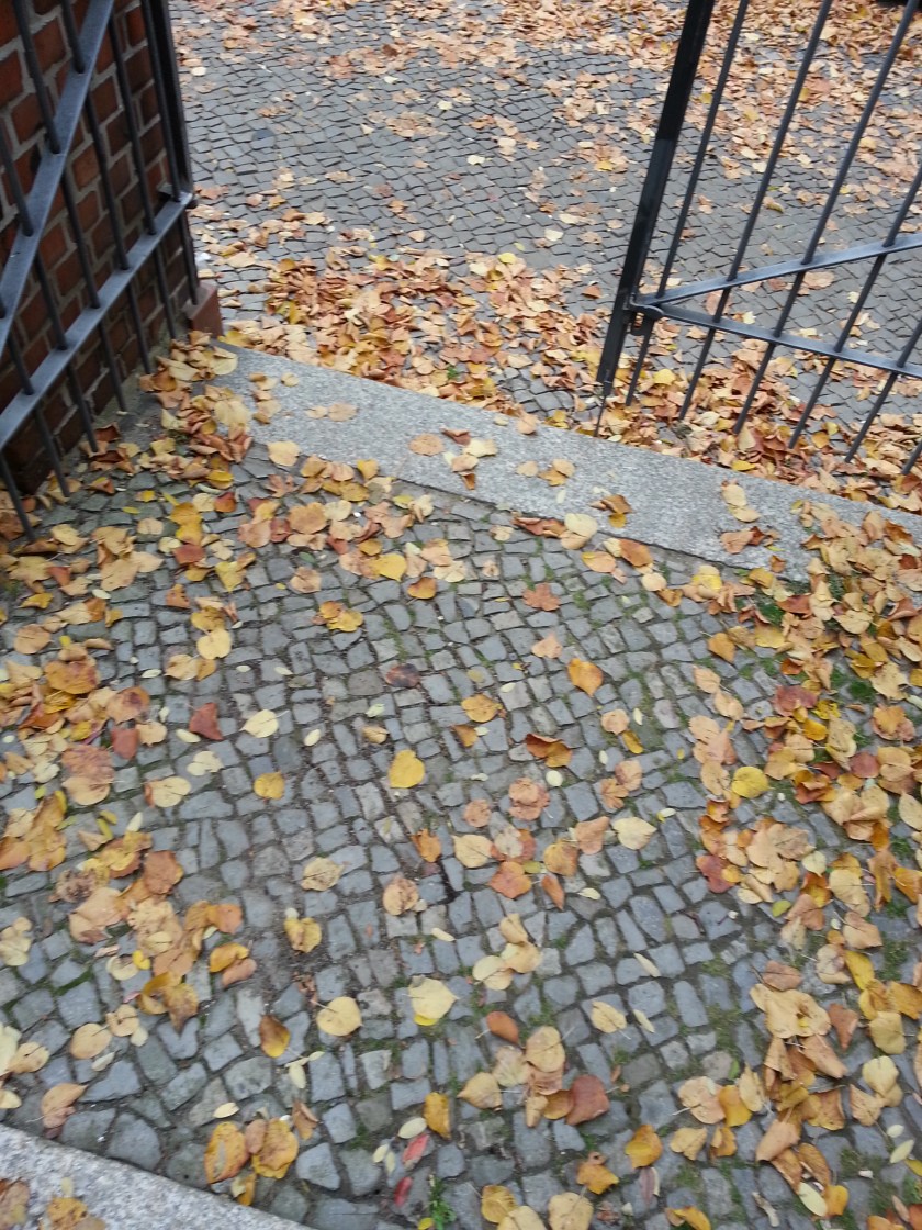 D306F1B2-6B5C-42DE-80B0-C259D21D032D