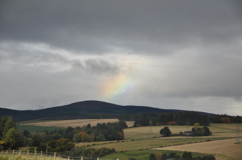 D7468E4D-F6BD-40FA-83A3-A9900EE3ABFA