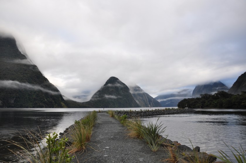 307CB6D7-B2F9-4701-97A9-F79E853839C8