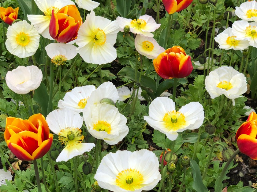 50699E2A-C34C-4DEC-9732-0E9E60CD573C