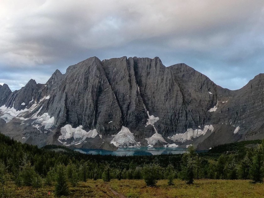 7E81A838-603A-42C8-BD18-2A48AC2F519D