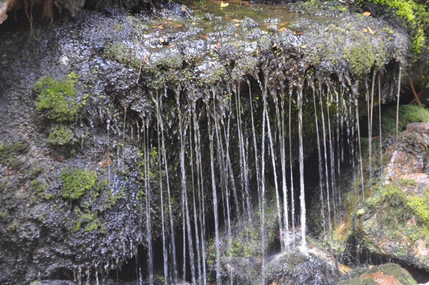 A4C32A02-4DD3-488E-8598-47C143B9D229