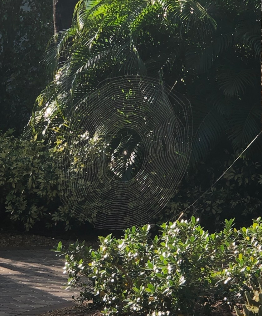 B559AFB4-DB2F-42C1-815F-3FAF25448E54_1_201_a