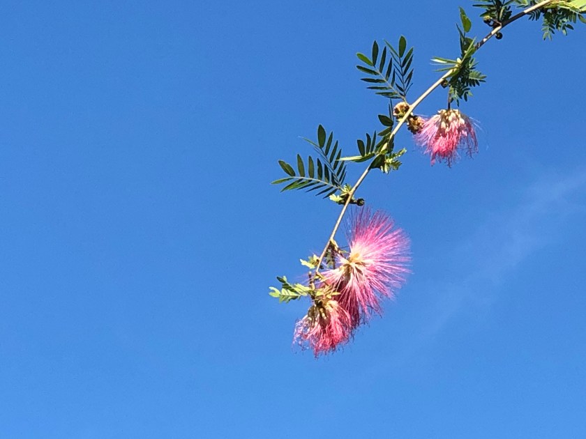 CD5477FA-64AA-47C1-96F9-74E8486C617E