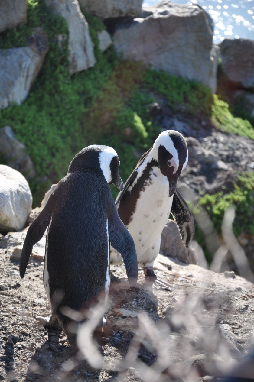 D62770BE-7EC4-4B7A-A32A-8F9A7215CE1E