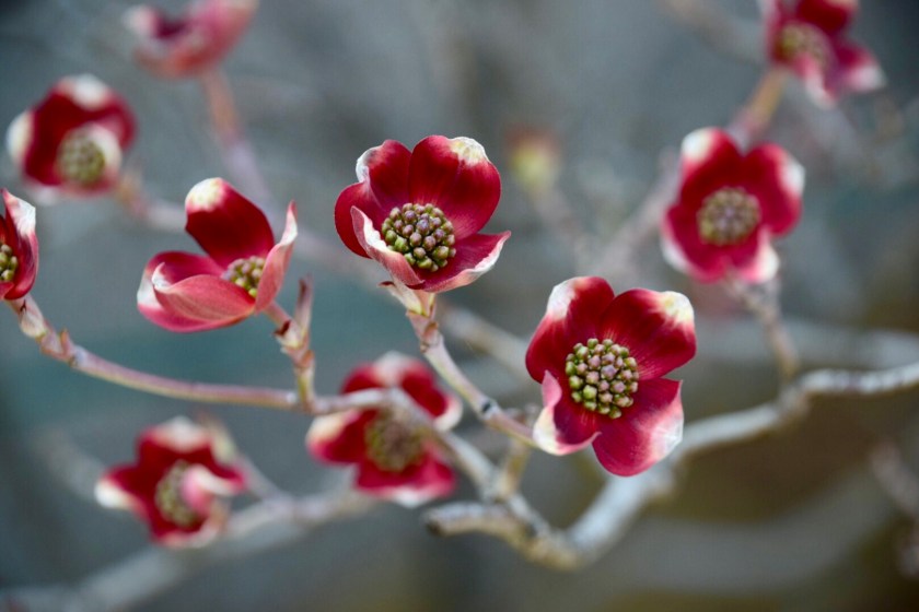 DAEB2485-8D2B-47C9-895B-E5834A31861D