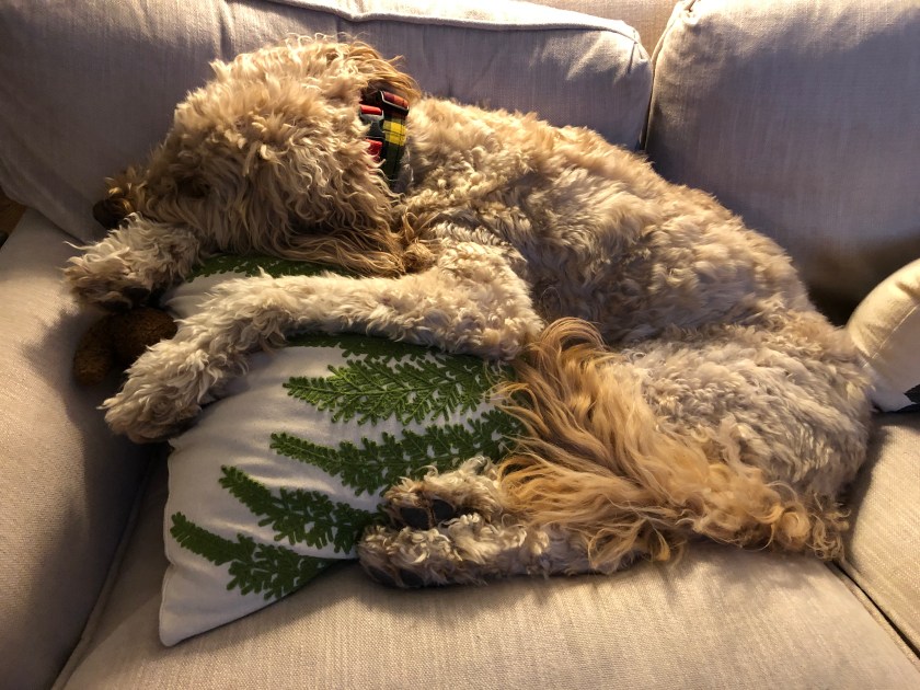 DC08D1EC-124A-45E3-9A7C-E190DC1B0D8D