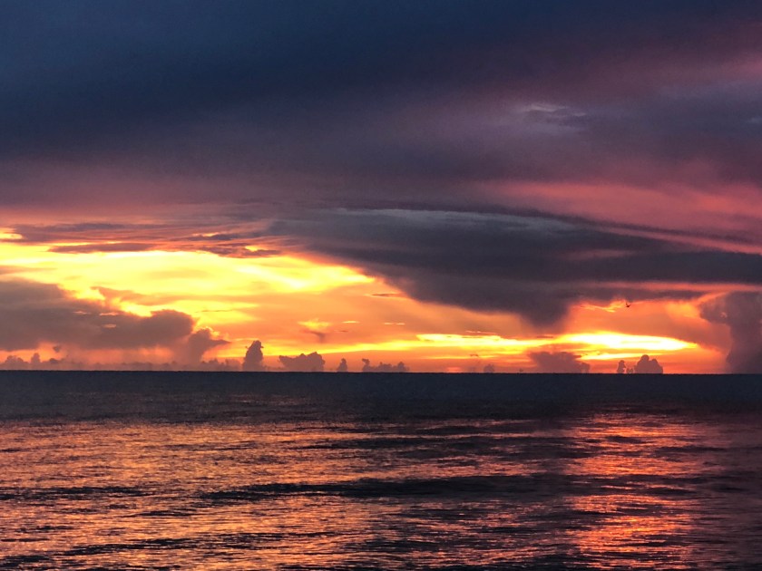 DC5C03B4-93C2-4C56-B62B-8E471A45CCF7