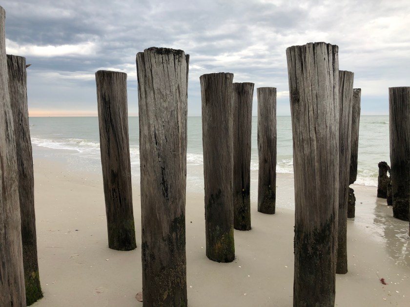 Pilings at Gulf's edge