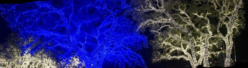 2720DDBF-5882-47ED-A719-8FF4A8E1C346_1_201_a