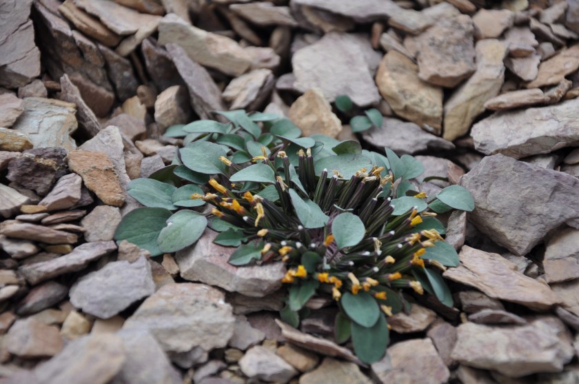 59BD2DA0-3C3B-4830-974A-438DE76CF2FC