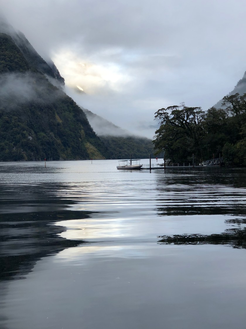 6565BF18-443D-457F-8883-ACD90EA05BF4