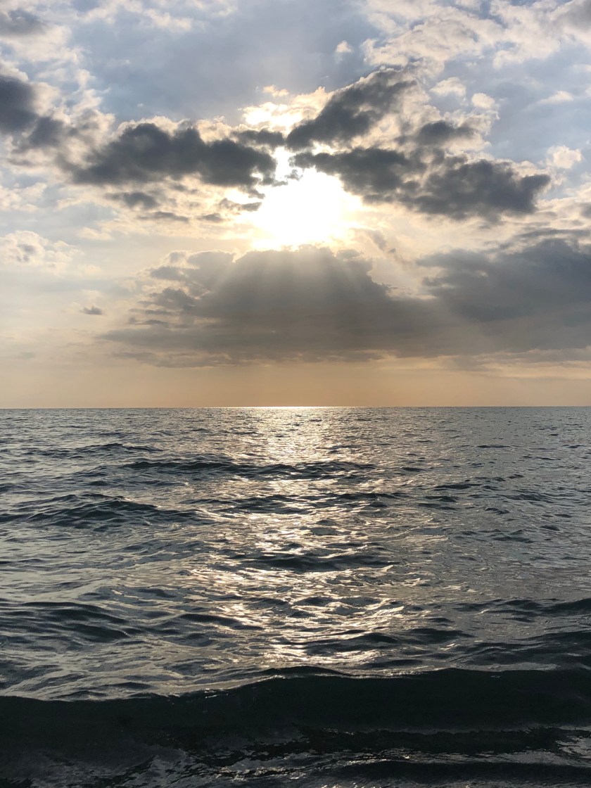 9CF1A355-225C-445E-AB83-B8A0F35C7349_1_201_a