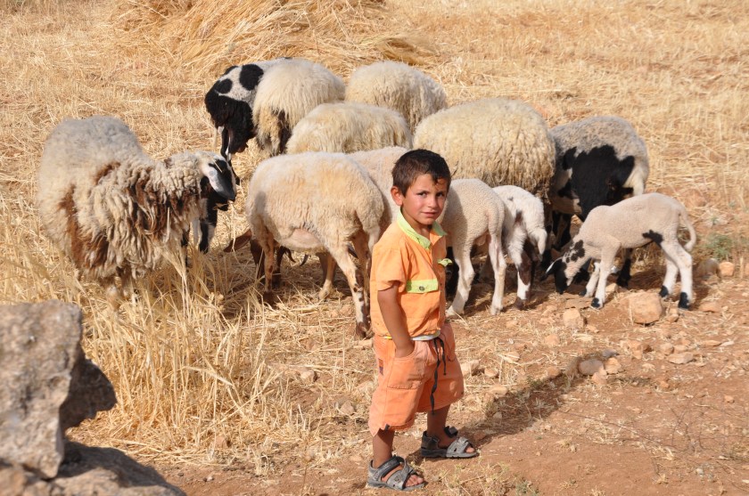 A0F14A86-2762-4A70-9D72-AC7FEEB48585