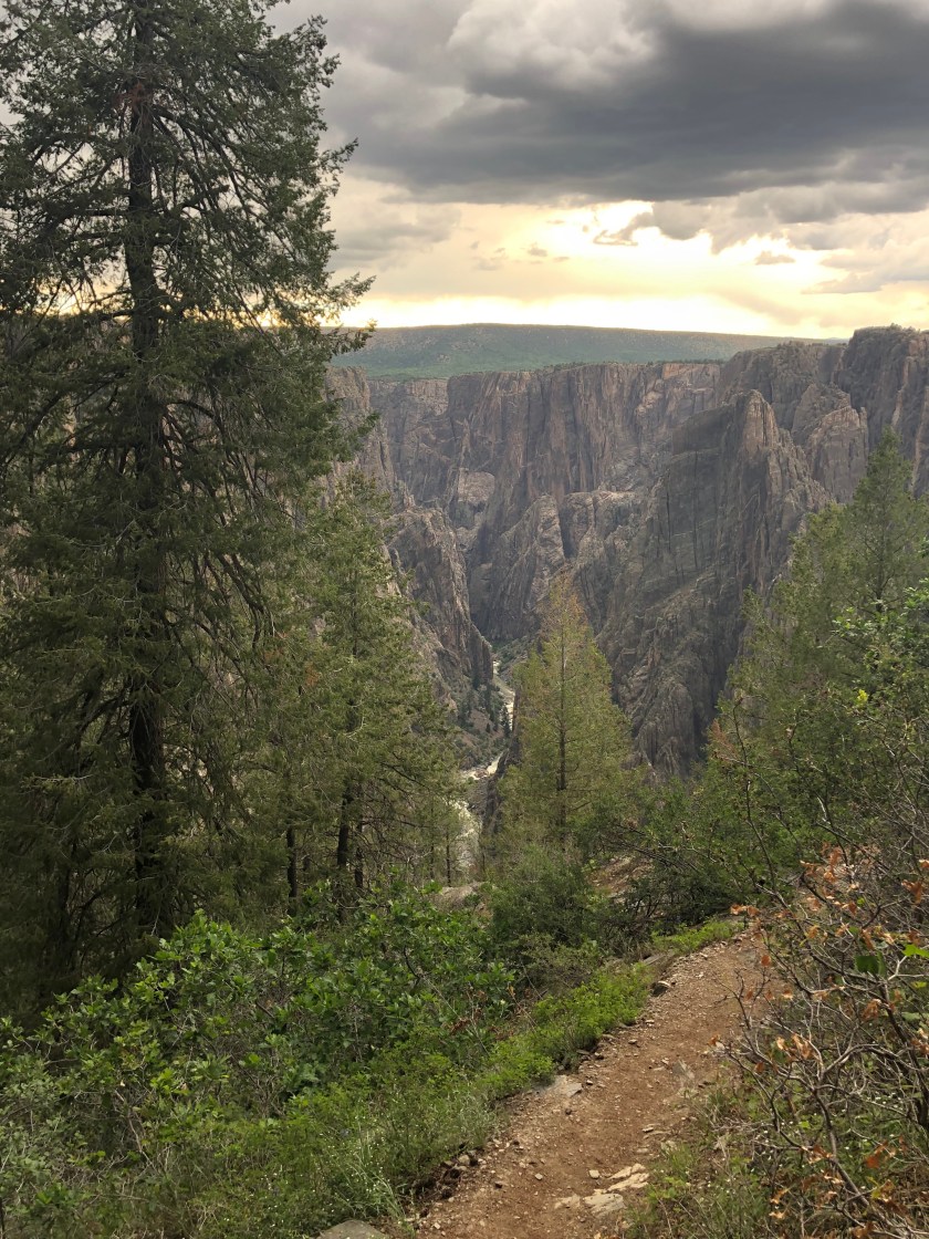 A94D12E0-2E0C-4E02-A132-2161AB61571C_1_201_a