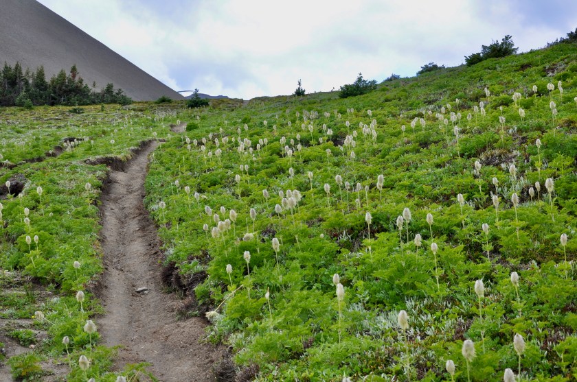 B1E13FCE-337A-4A9F-B332-E6778C7D8A7C_1_201_a