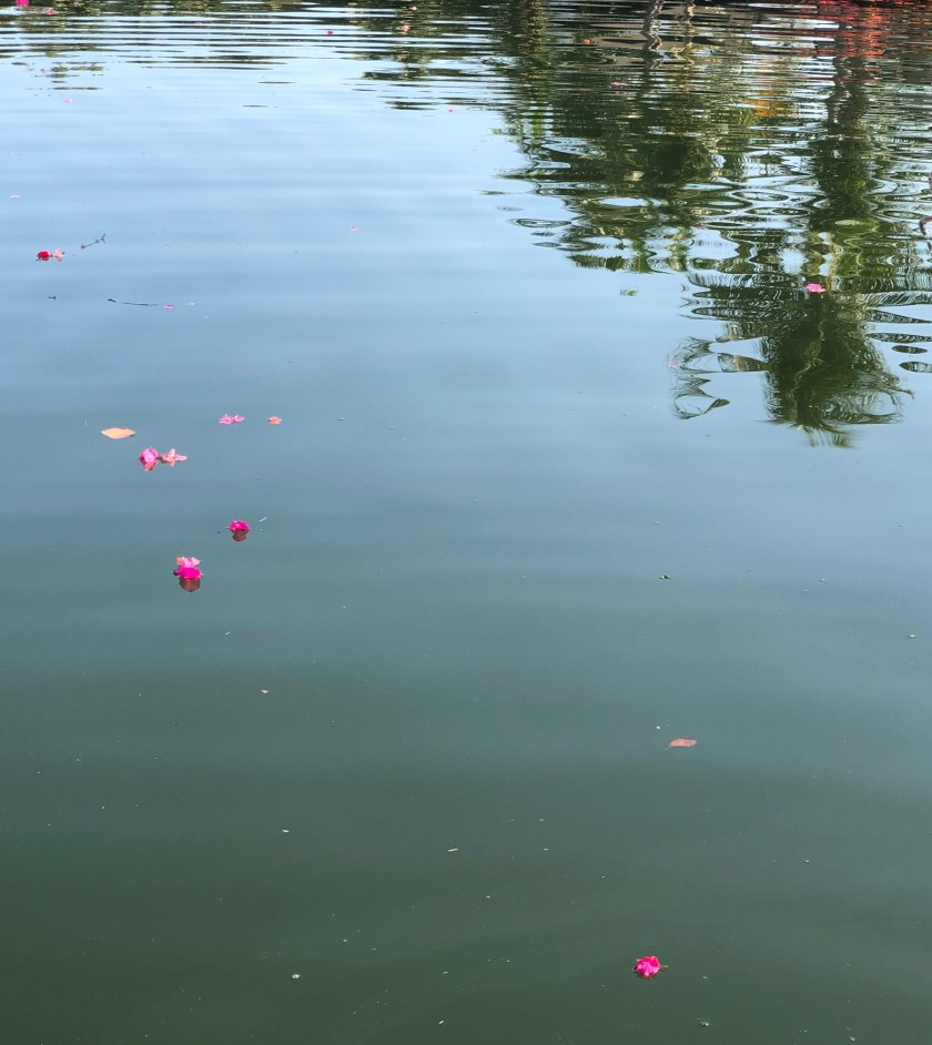 C4D5AD00-C391-4C6F-9E38-898492220899_1_201_a