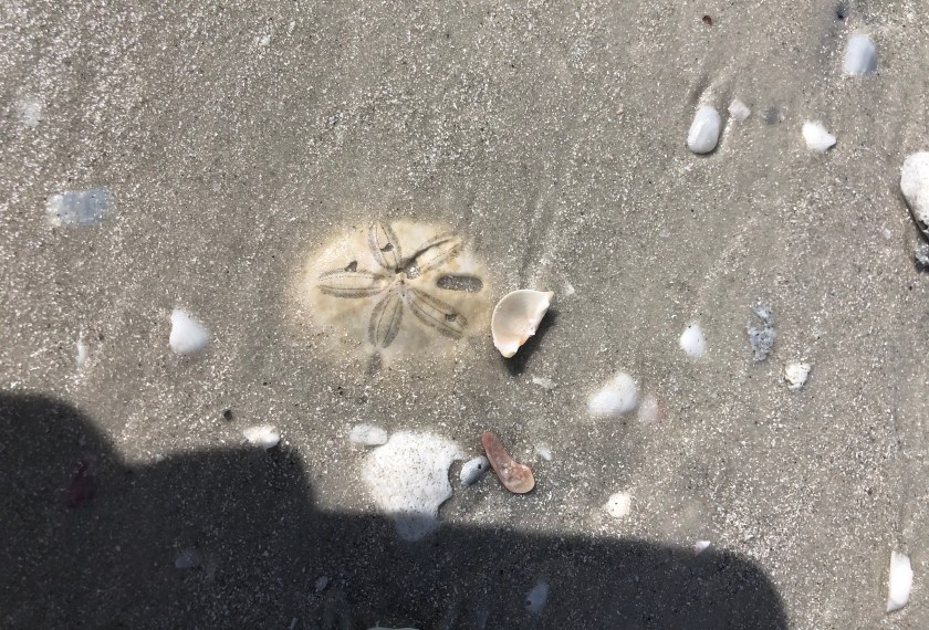 C87E5BC8-AF2F-4BE7-862C-D9EC6FA756A3_1_201_a