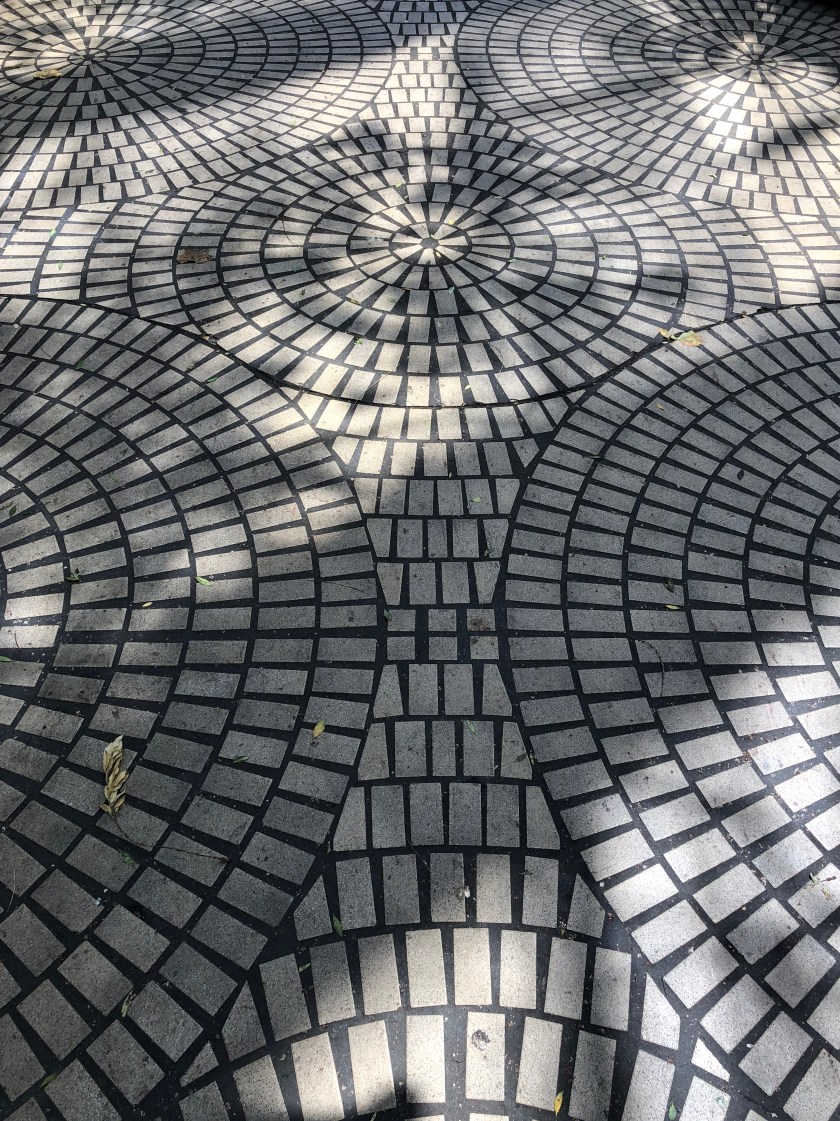 1DBF773F-8E19-41BE-82F6-E71A66B7D3C7_1_201_a