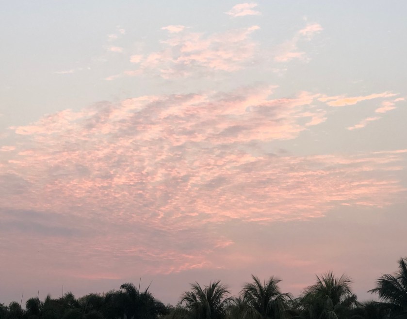 4C827EA1-17B5-4657-9636-8661F5735338_1_201_a