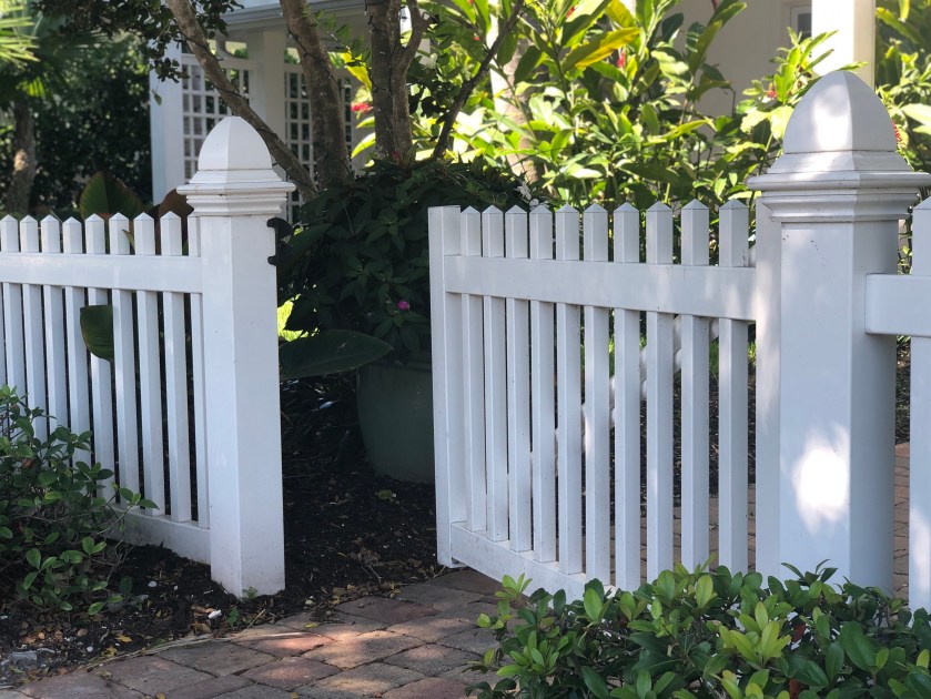 56CBEE06-24F6-4CE9-93E9-DB4953A7E191_1_201_a