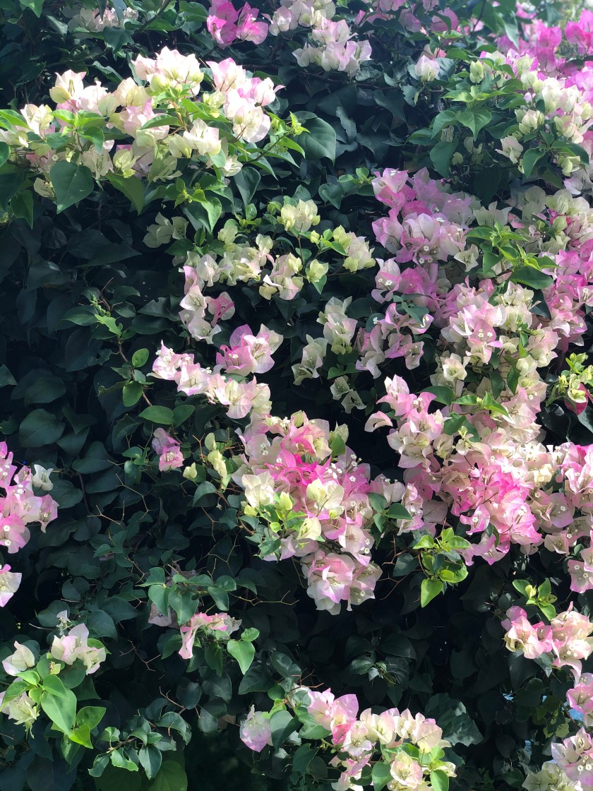 5D37DA1E-744B-43CF-A723-7E7F21B1EF9D_1_201_a