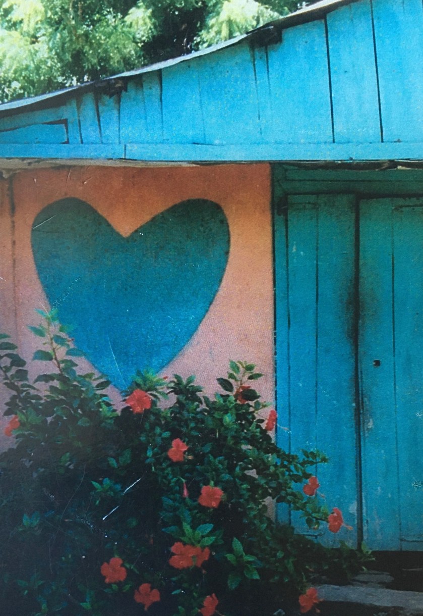 6B28DD1B-4029-49AE-82B8-36E68498003A_1_201_a