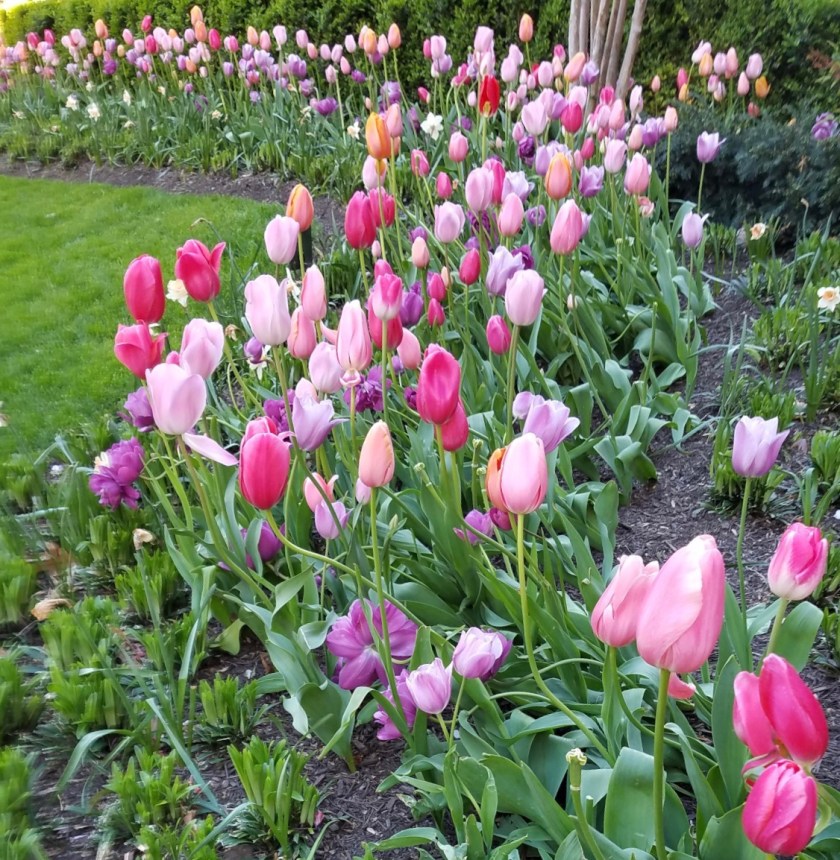 825FC3FA-01E8-49BC-A881-5430A256DD18_1_201_a