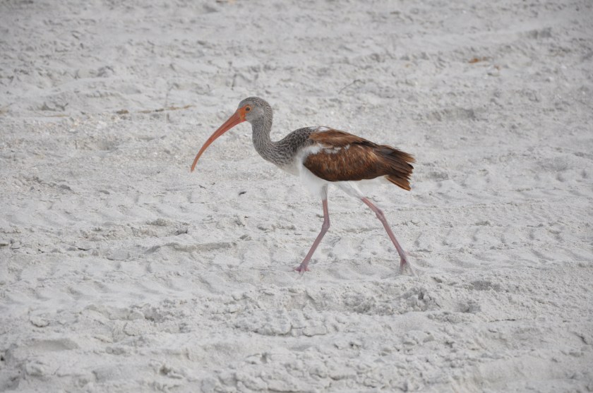 8AEA363C-82CA-4DED-9084-C96CAC41E327