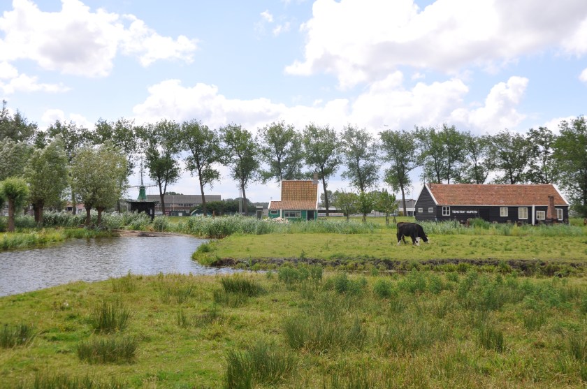 988FD597-A697-4E72-92D0-F31CC849B7E1