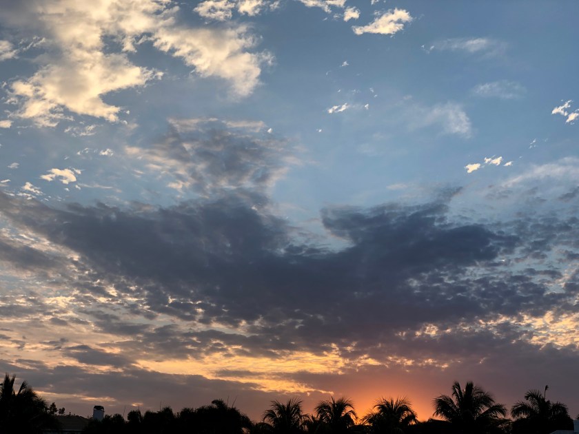 B272EF47-E99A-4B36-8605-0A44E980FE21_1_201_a