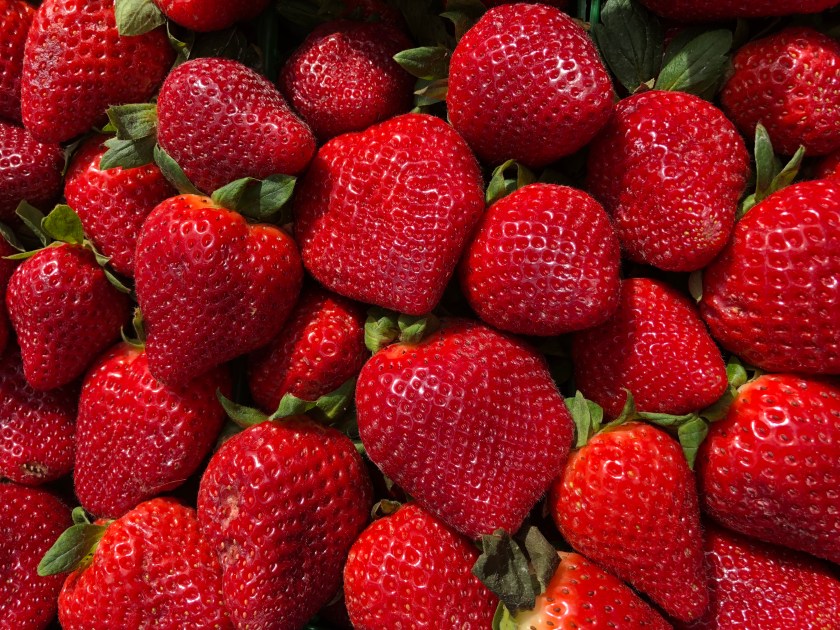 D12649F1-CFCB-430D-98C5-F46001909B19_1_201_a