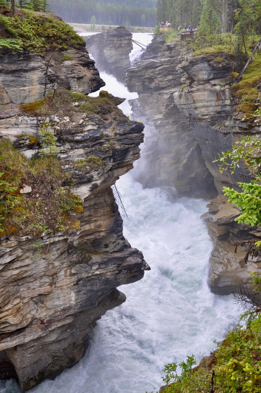 08EE2F9E-0E07-49C0-AEEF-AB1135A4FDE1_1_201_a