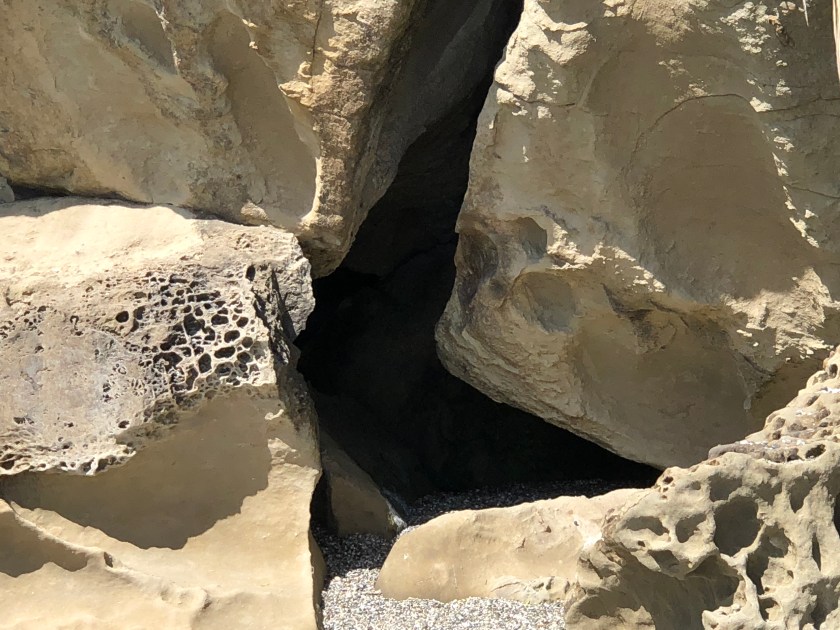 0DFA3820-DDAF-4CC1-8E53-562ACC28854B