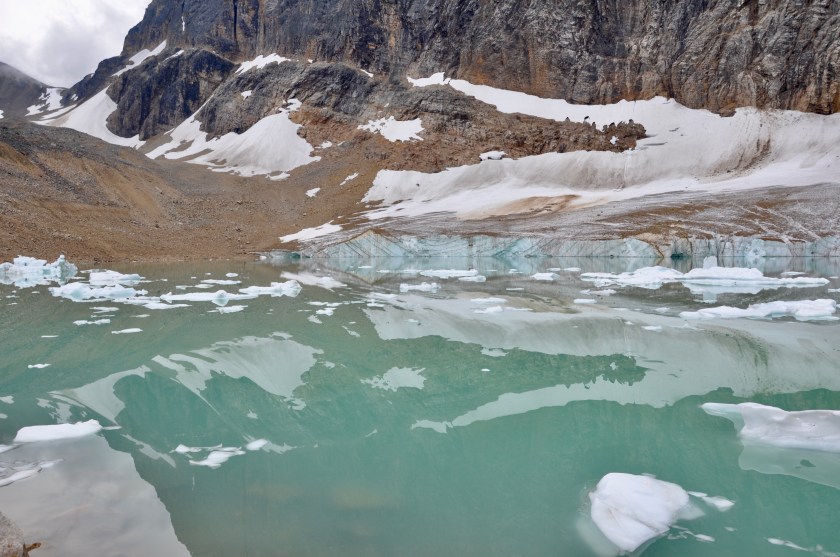 12D84466-3414-47E2-822A-D03632B9D656_1_201_a