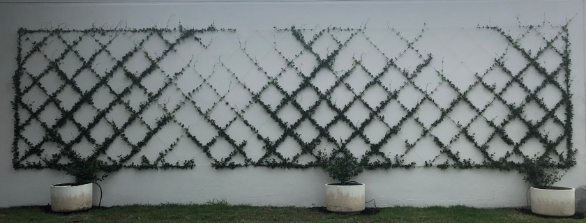 3F90228B-3815-4A1F-A87D-8132C4B13CE8_1_201_a