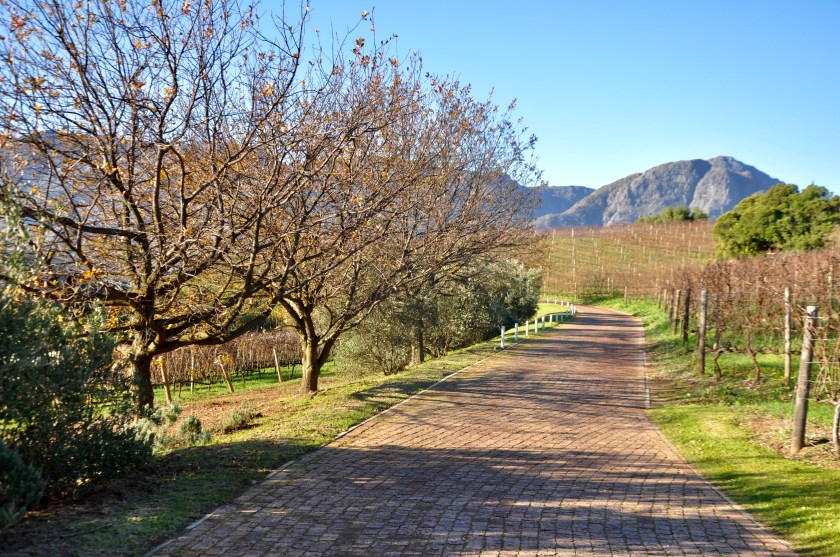 701092D6-5B1E-473A-BFF6-052AADF73745_1_201_a