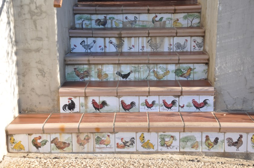 8223EF18-B6D7-493D-A467-811B3E2EA608