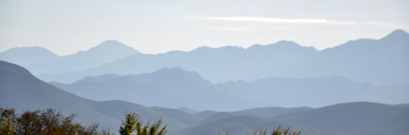 CE69A80A-7C97-422B-956C-3532B086D63D_1_201_a