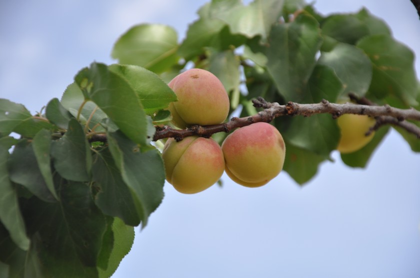 D6089820-AE8D-46E6-98F1-0DE69A8CB779