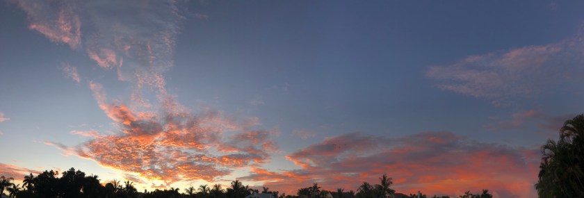 0EA360D0-6235-4543-8871-03C7B307756A_1_201_a