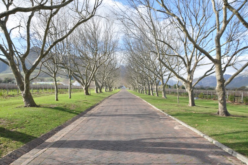 308D5EA5-0ABF-447E-B6B7-6FF2D7C46070