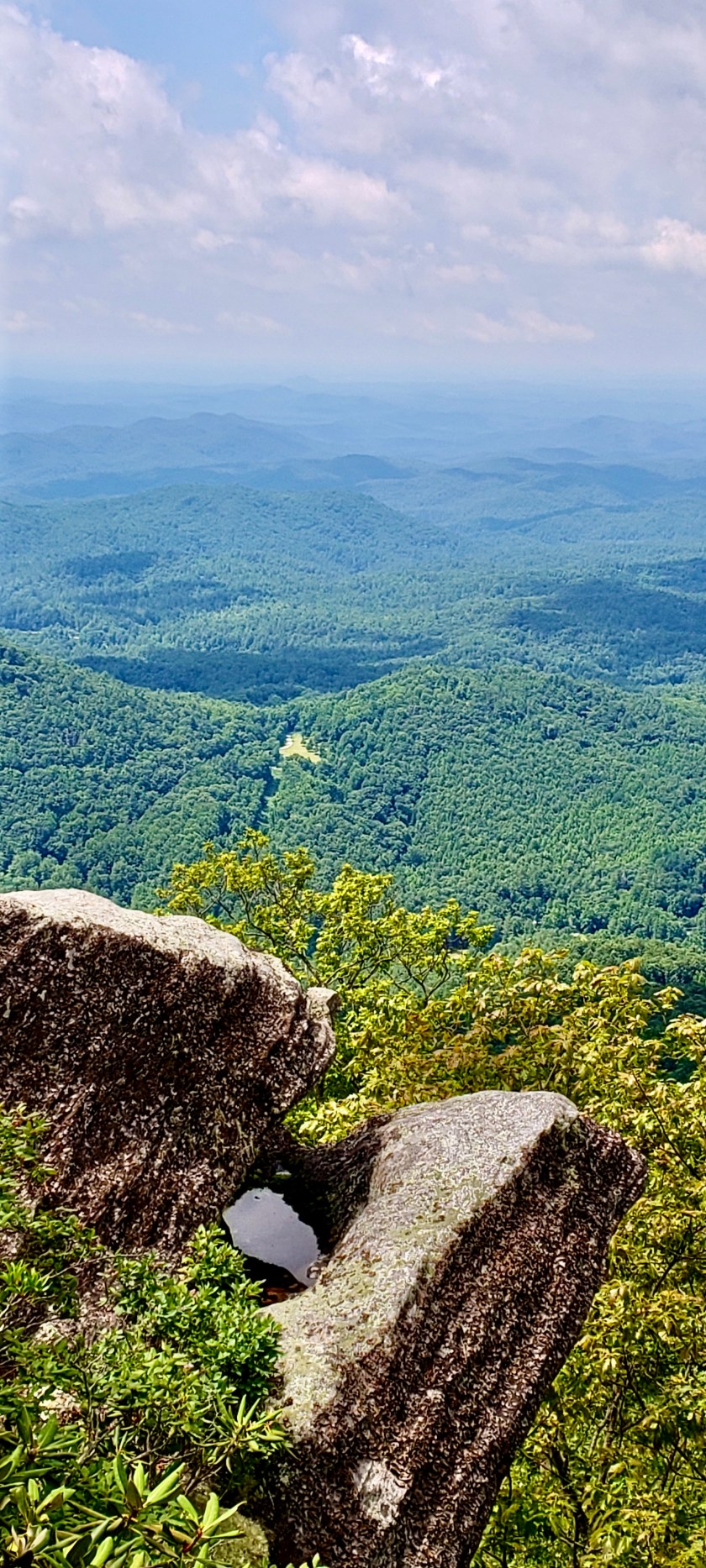 85F41C03-FAF4-440B-8E7C-591A846958CE_1_201_a