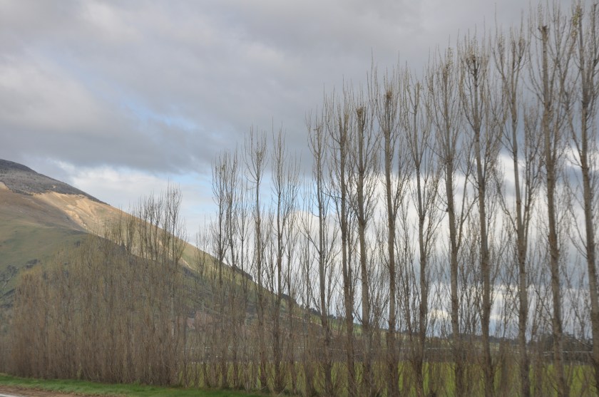 A9F78930-4A0E-42E3-8530-C92A4E53C255