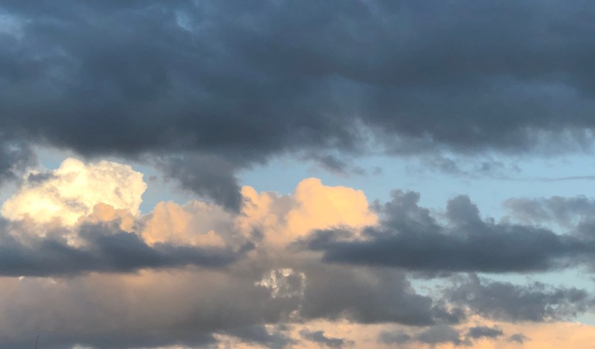 C09FE410-2E7B-4840-9DA8-CB1A3348A29F_1_201_a