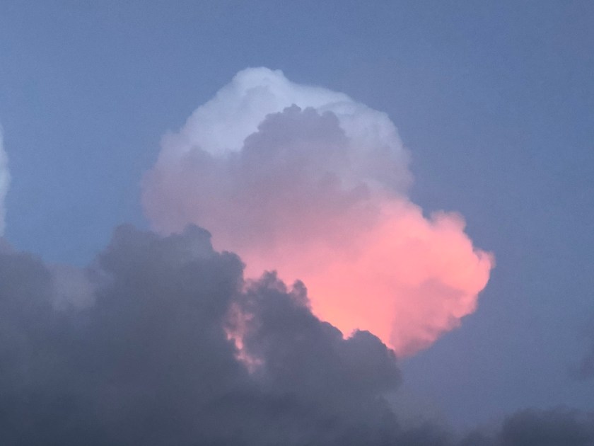 C5571C9A-F3C2-443E-8037-A0CC57506A5E