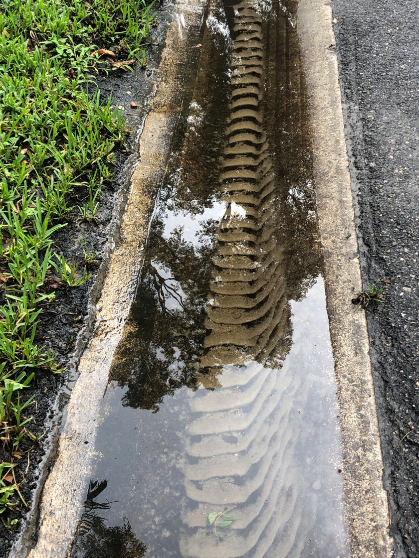 Furrowed ridges in rain-filled ditch