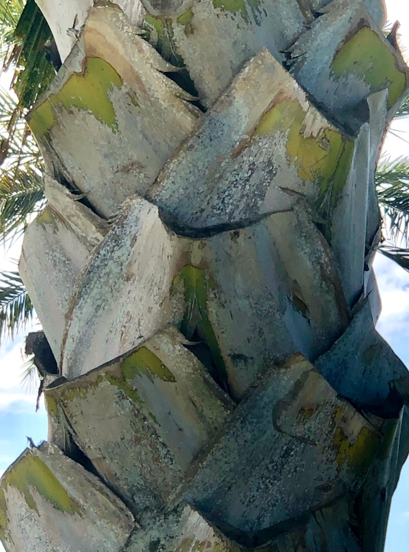 0791E2AE-B5A8-4736-B71E-738B81D57495_1_201_a