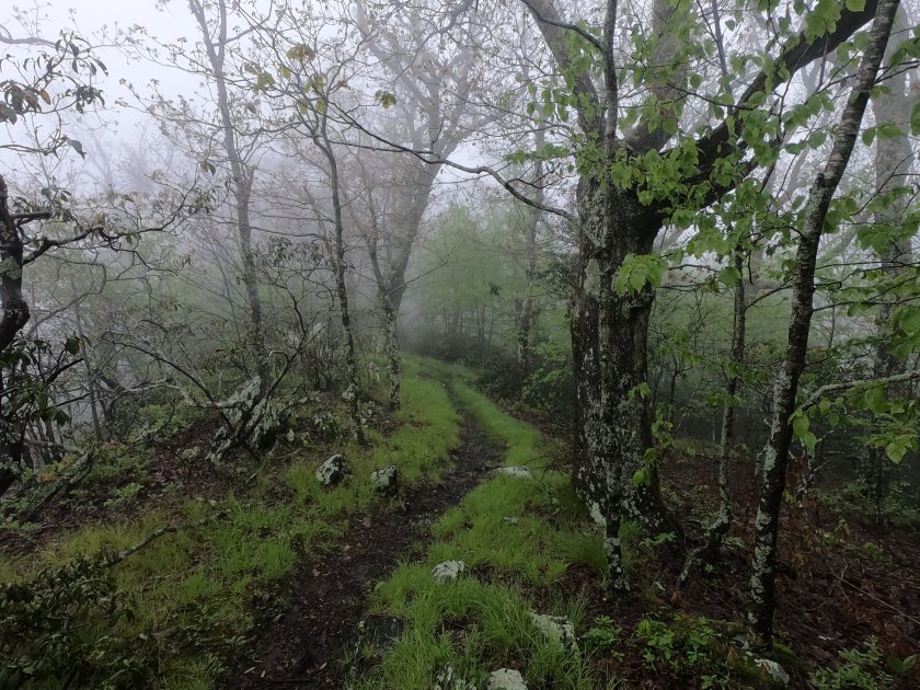 2AB9534D-6083-4168-B5DE-DC584514F403